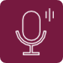 AI Voice